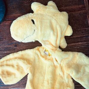 Pottery Barn Kids Woodstock Costume